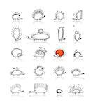 Hedgehog collection, sketch for your design. Vector illustration