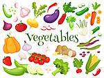 Set of fresh vegetables for your design. Raw vegetables with sliced isolated cartoon style icons with pepper,eggplant,garlic,mushroom,courgette,tomato onion,cucumber,pumpkin vector illustration