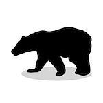 Bear wild black silhouette animal. Vector Illustrator.