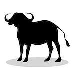 Bison mammal black silhouette animal. Vector Illustrator.