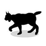 Lynx wildlife black silhouette animal. Vector Illustrator.