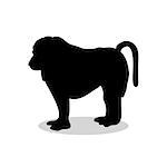 Baboon ape primate black silhouette animal. Vector Illustrator.