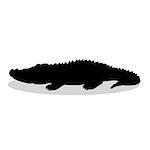 Alligator predator reptile black silhouette animal. Vector Illustrator.