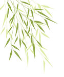 Vector Illustration bamboo leaves. Background with green leaves