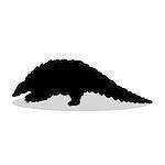Armadillo mammal black silhouette animal. Vector Illustrator.