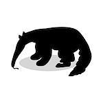 Anteater mammal black silhouette animal. Vector Illustrator.