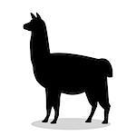 Lama mammal black silhouette animal. Vector Illustrator.