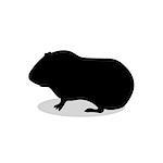 Guinea pig pet rodent black silhouette animal. Vector Illustrator.