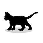 Kitten cat pet black silhouette animal. Vector Illustrator.
