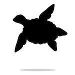 Sea turtle reptile black silhouette animal. Vector Illustrator.