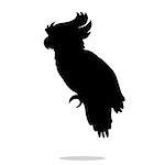 Parrot bird pet black silhouette animal. Vector Illustrator.