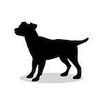 Dog pup pet black silhouette animal. Vector Illustrator.