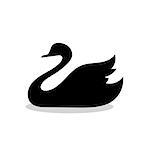 Swan bird black silhouette animal. Vector Illustrator.