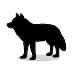 Wolf predator black silhouette animal. Vector Illustrator.