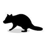 Raccoon wildlife black silhouette animal. Vector Illustrator.