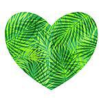 Green heart of tropical palm leaves on a white background