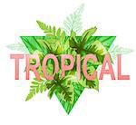 Green triangle with palm leaves. Tropical summer background.