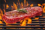 Tri tip steak with rosemary and spices on a flaming barbecue