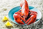 Cooked lobster with lemon on gravel