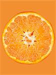 A slice of mandarin on an orange surface, close-up