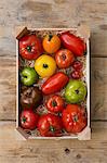 A crate of colourful tomatoes