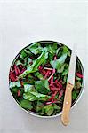 Tender beetroot leaves in a bowl (seen from above)