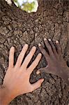 Burkina Faso, Hand of a child 10-year-old inhabitant of Burkina-Faso and hand of an European of 24 put on the trunk of a tree shea-tree