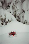 Gift box in a snowy landscape during winter