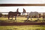 Friends sitting on wooden fence while horse grazing in farm on a sunny day