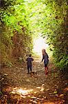 Boy and girl brother and sister walking puppy dog on tree lined path