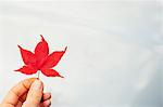 Woman holding red Japanese Maple leaf (Acer palmatum), close-up