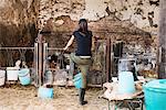 Rear view of female farmer looking at calves on organic dairy farm