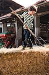 Boy on straw bale with pitchfork on organic dairy farm