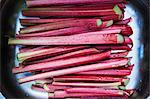 Close up of a tray with fresh rhubarb.