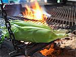 Sweetcorn roasting on a barbeque outdoors.