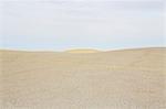 The desert, flat landscale at dusk near Factory Butte.