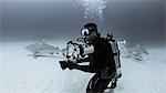 Diver with Bull Sharks, underwater view, Playa del Carmen, Mexico