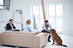 Design team meeting and petting dog on design studio
