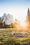 Meadow and rock formations at sunset, Yosemite National Park, California, USA