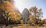 Landscape view with autumn forest, Yosemite National Park, California, USA