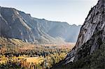 Elevated view of valley forest, Yosemite National Park, California, USA