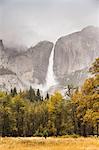 Landscape with distant misty waterfall, Yosemite National Park, California, USA