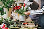 Florist in flower shop, watering flowers, mid section