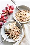 Bowls of cereal and yogurt