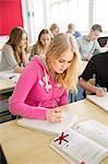 Teenage girl studying in classroom