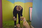 Woman feeding dogs