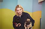 Woman carrying black and brown pug dogs