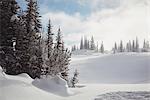 Snow covered landscape during winter