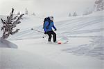 Skier skiing on snow covered mountains