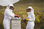 Male and female beekeepers working on beehive in apiary